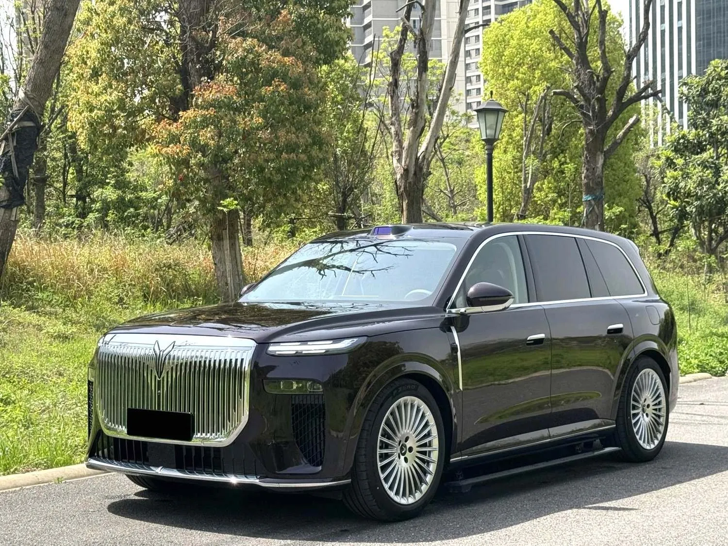 VOYAH 2026 Taishan Max+